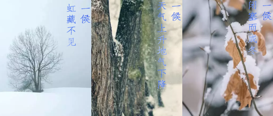 今日小雪，寒潮來襲，洗瓶機來幫你解放雙手吧！